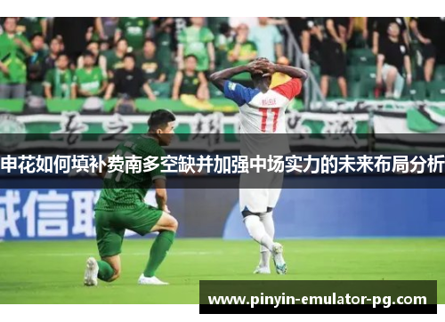 申花如何填补费南多空缺并加强中场实力的未来布局分析